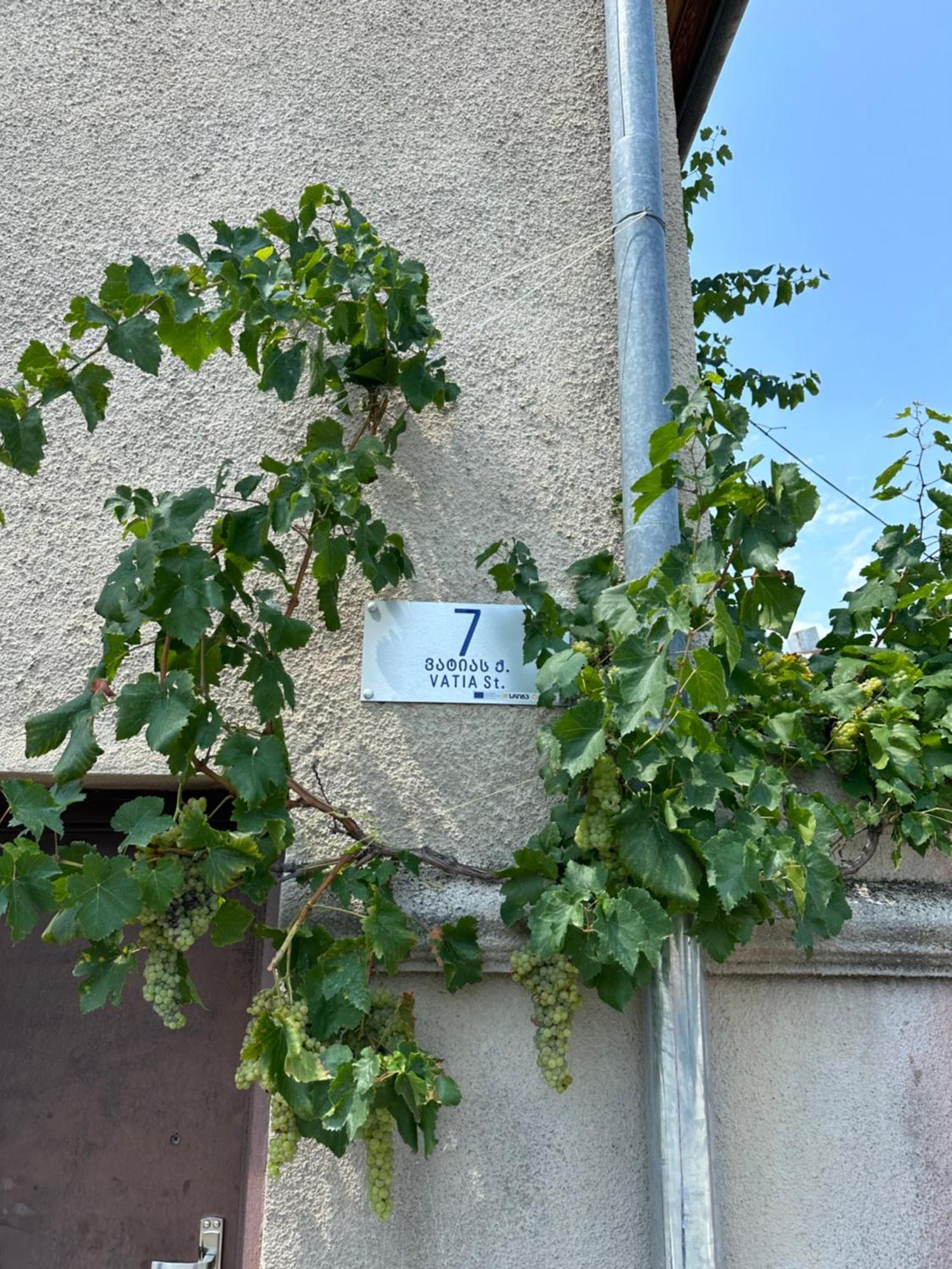 Guest House Kartuli Suli Telavi Eksteriør billede