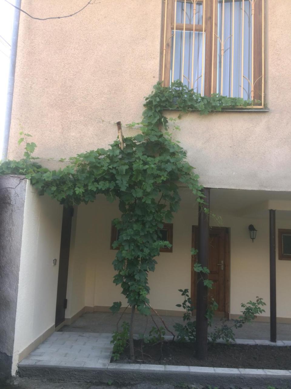 Guest House Kartuli Suli Telavi Eksteriør billede